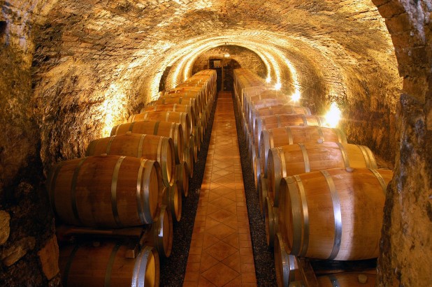 La cantina del Casale del Bosco