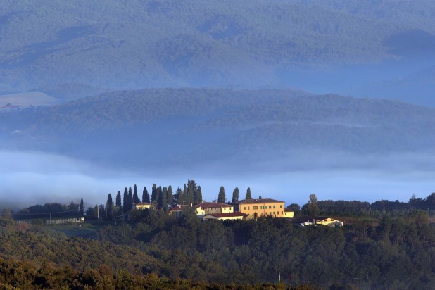Tenuta Casale del Bosco