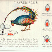 gallina che rompe le uova in in particolare del Codex Seraphinianus